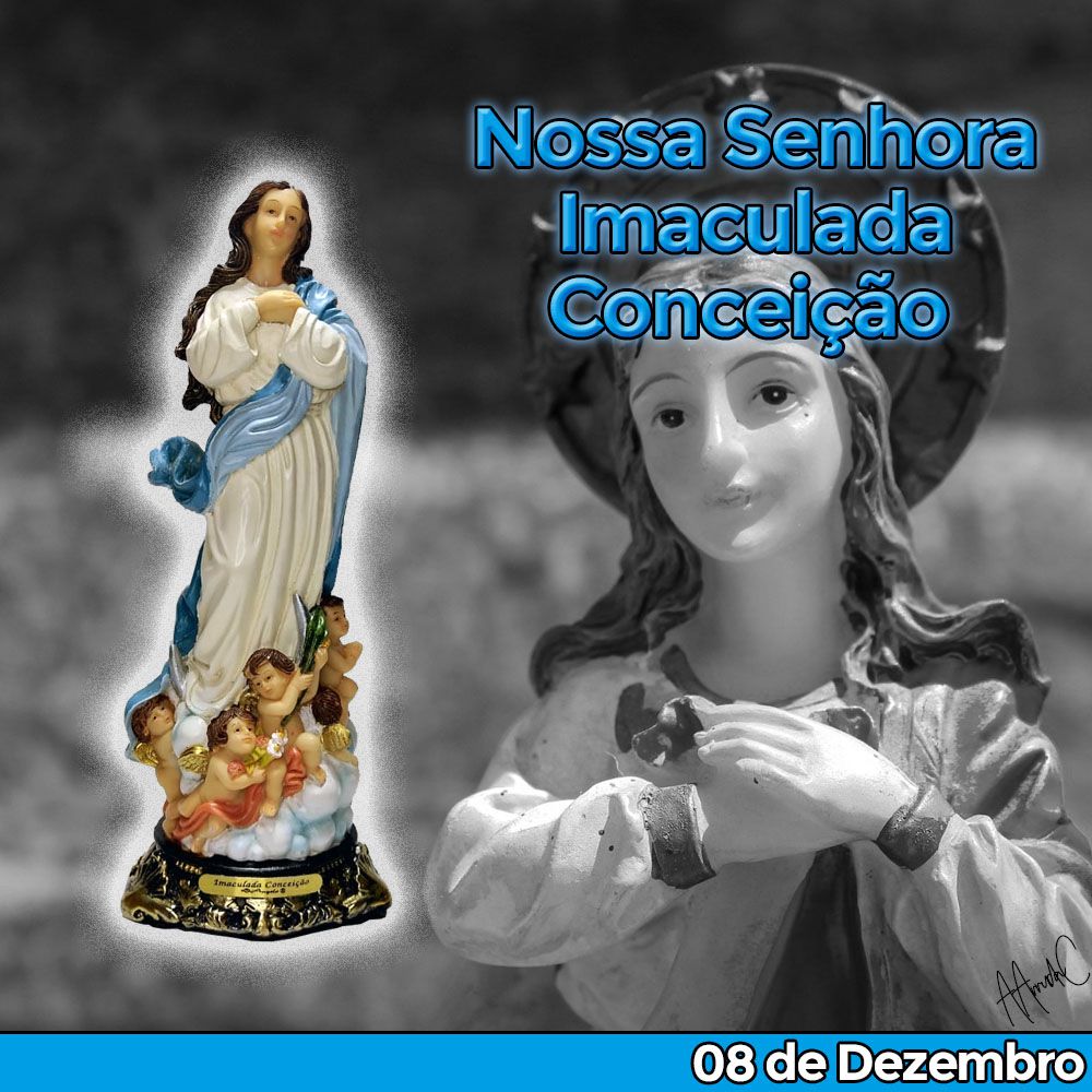 Nossa Senhora Imaculada Conceição 20 CM - Imagem 5