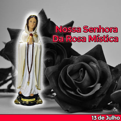 Nossa Senhora da Rosa Mística 20 CM - Imagem 5