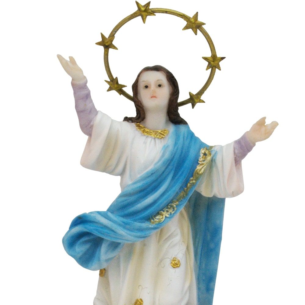 Nossa Senhora Da Assunção 20 CM - Imagem 2