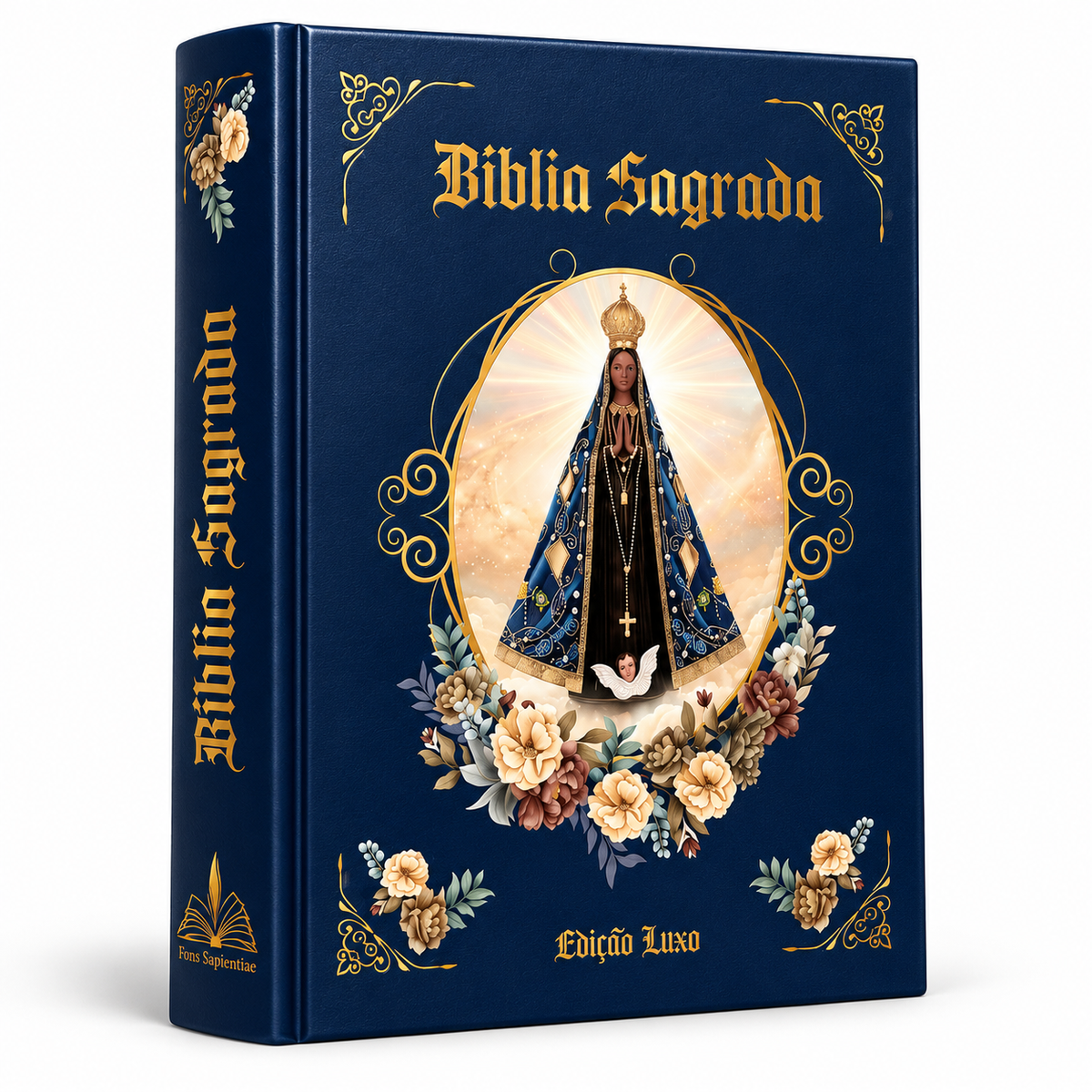 Bíblia Sagrada Católica Ilustrada Nossa Senhora Aparecida Edição Luxo Grande - Caixa Oratório